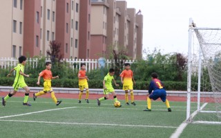 池州学院招足球专项学生吗，池州学院招足球专项学生吗多少分