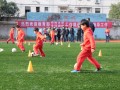 体彩中心的足球有人控制吗，体彩足球有人赚钱吗
