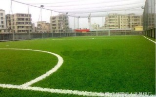 自建足球场有补贴吗，自建足球场有补贴吗现在